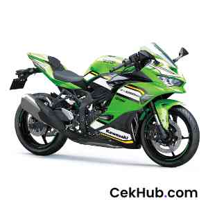 Kawasaki Ninja ZX-25R
